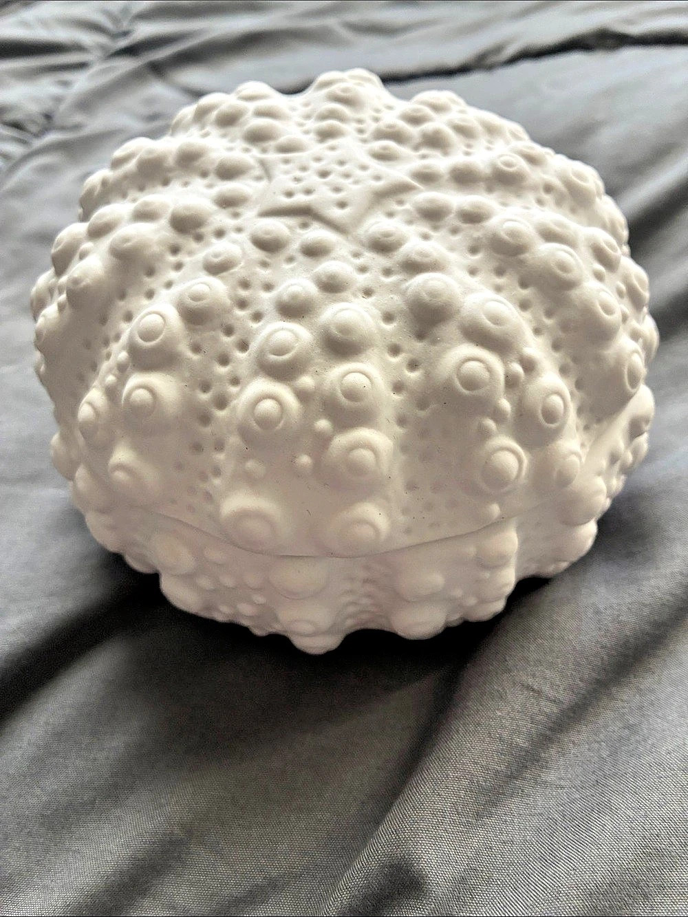 Pottery Barn Sea Urchin Jar
